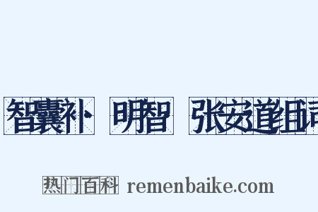 智囊补·明智·张安道组词是什么意思的图片